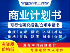 商业计划书PPT可行性研究报告融资方案策划资金申请