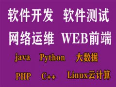 网络安全网络运维、Linux、软件测试、UI设计、大数据