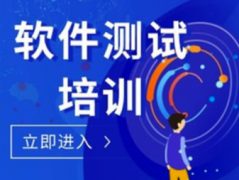 计算机C+语言、软件开发、网页UI、网络安全运维